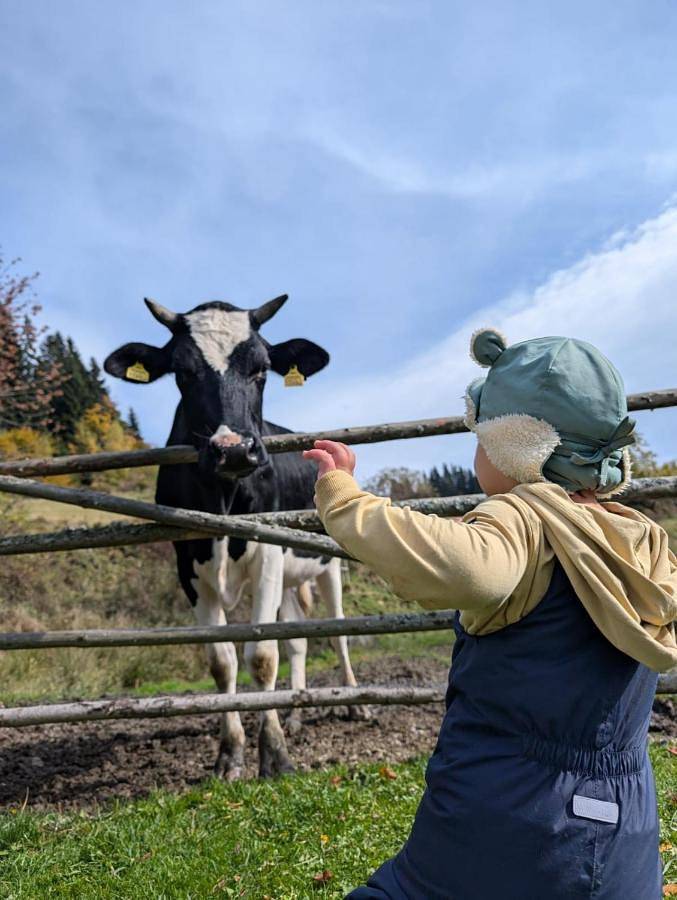 Location de vacances pour 8 personnes, avec vue et jardin, animaux acceptés dans Eberstein - 2