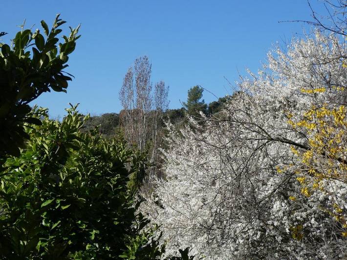 Appartement de vacances pour 2 personnes, avec jardin, animaux acceptés