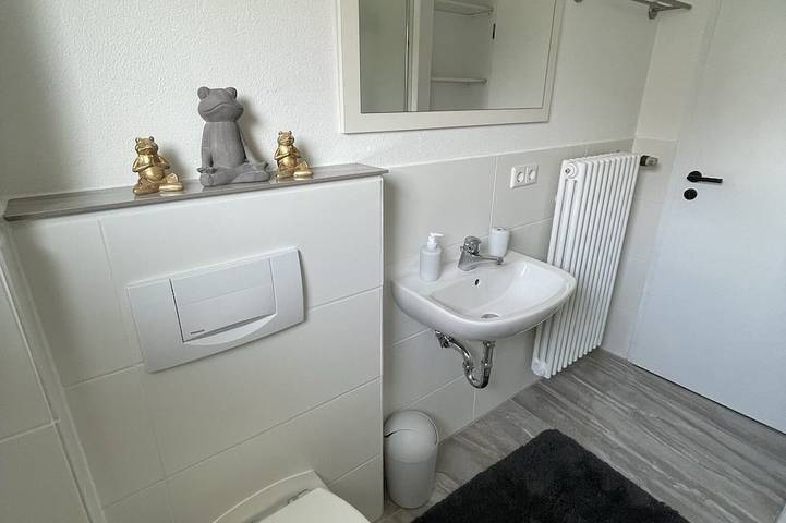 Ganze Wohnung, Ferienwohnung Heidi in Rielasingen-Worblingen, Hegau