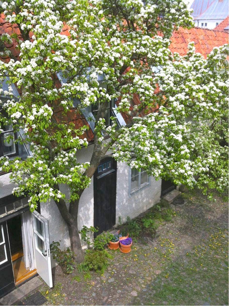Appartement entier, Dahmskahuset in Kalmar, Mer Baltique suédoise