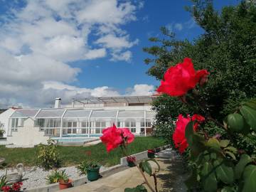Bed And Breakfast para 14 Pessoas em São Miguel de Poiares, Centro, Foto 3