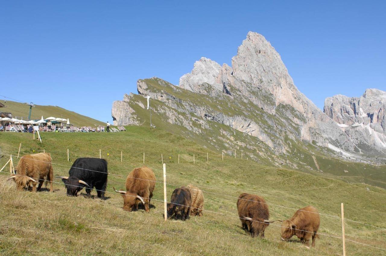 Appartamento intero, Apartment Puciacia - Bauernhof in Castelrotto, Dolomiti Superski