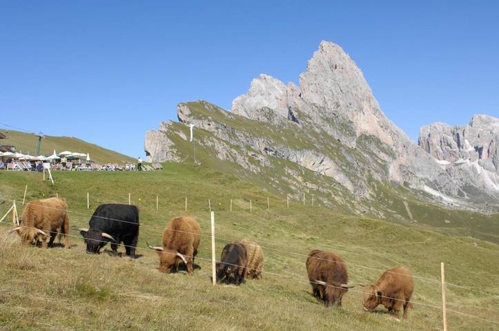 Bauernhof für 4 Personen, mit Ausblick und Garten in Kastelruth - 2
