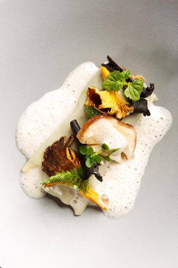 Hôtel pour 2 personnes, avec jardin et vue, animaux acceptés à Rosheim - 4