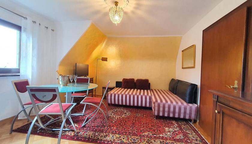 Location de vacances pour 18 personnes, avec terrasse ainsi que jardin et piscine à Freiamt - 4