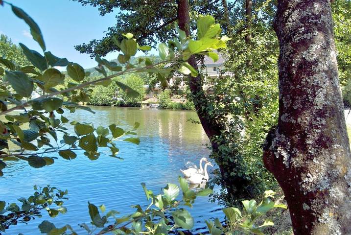 Hôtel pour 2 personnes, avec vue ainsi que jardin et vue sur le lac à Guebwiller - 4