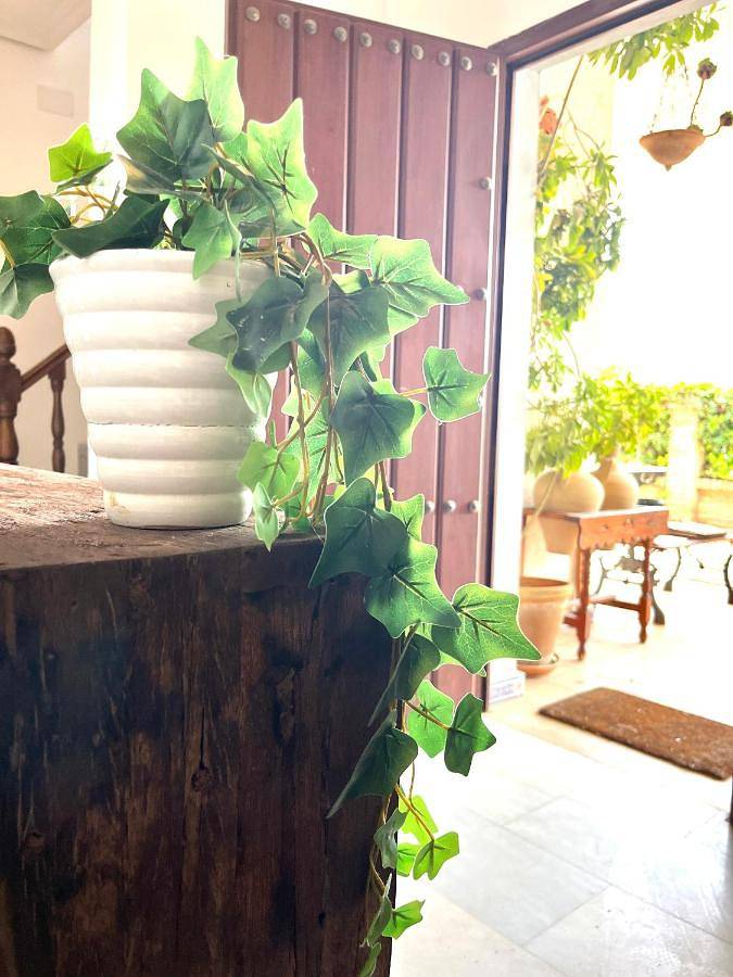 Five-Bedroom House in Espartinas, Provincia de Sevilla