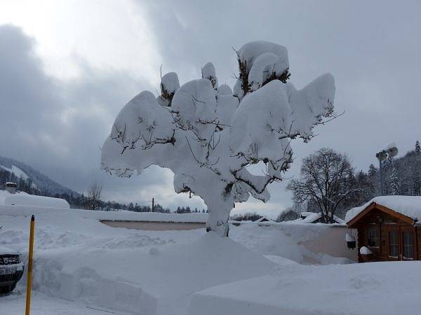 Gîte pour 2 personnes, avec terrasse et jardin, animaux acceptés dans le Doubs - 3