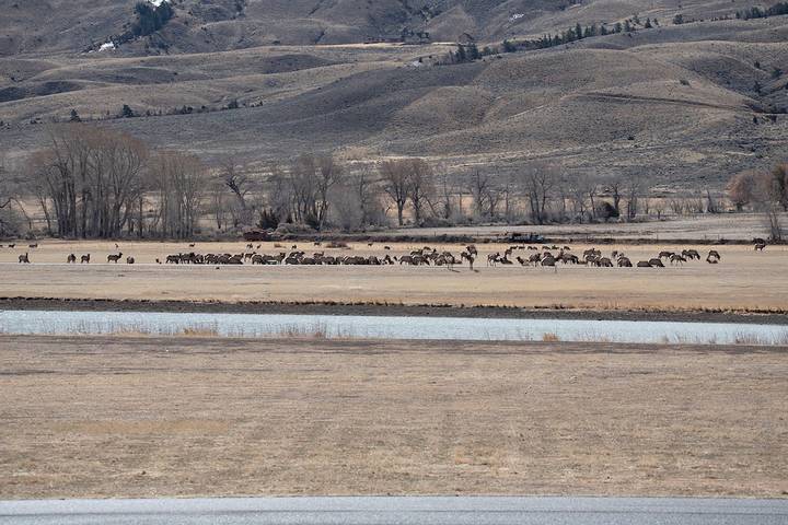Gîte pour 7 personnes, avec terrasse à Wapiti - 2