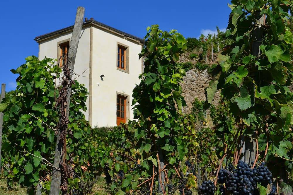 Gîte La Tour du Pavillon in the heart of the Ermitage vineyards in Tain-l'Hermitage, Valence region