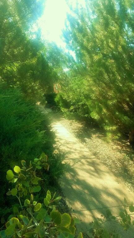 Ganze Wohnung, Hervorragende Lage im Herzen von Santa Fe im Herzen von Santa Fe-Decked Digs in Santa Fe, Santa Fe County
