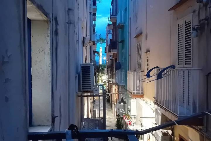 Holiday apartment for 3 people, with pets - 1