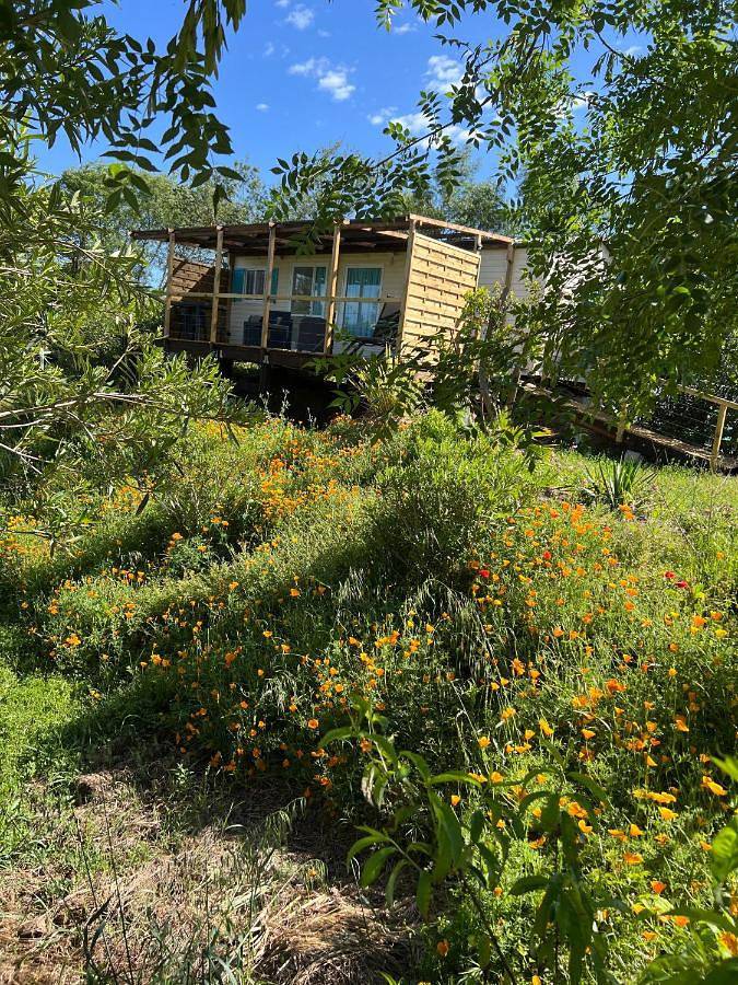 Camping pour 2 personnes, avec jardin ainsi que vue et terrasse à Roquebrune-sur-Argens - 4