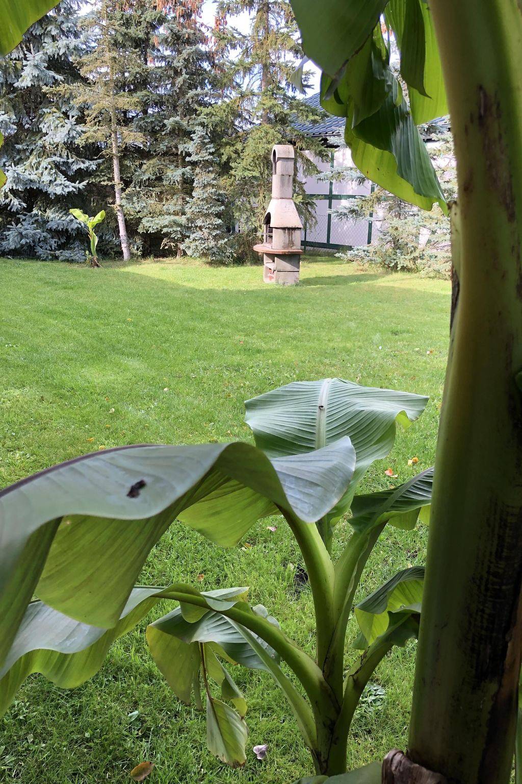 Mit Garten, Grill und Terrasse in Mönkebude, Vorpommern Greifswald