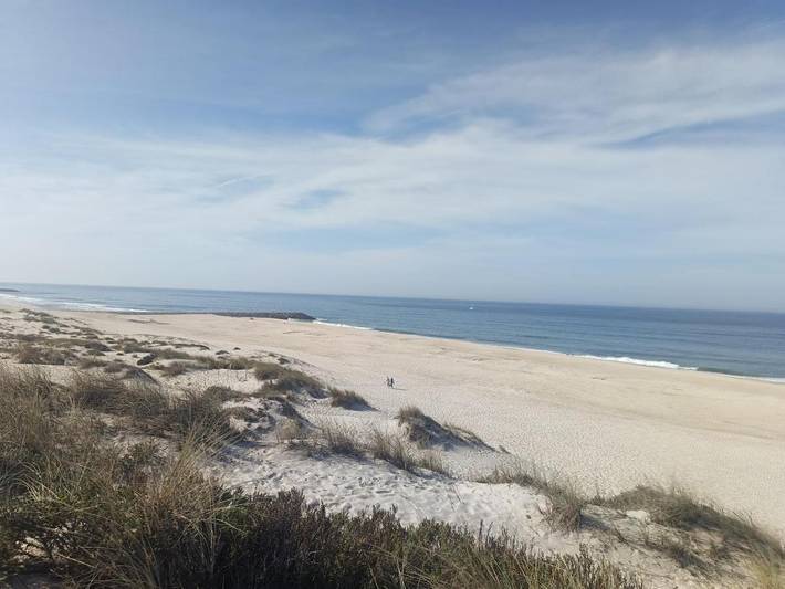 Gîte pour 4 personnes, avec piscine ainsi que jardin et vue à Praia de Mira - 3