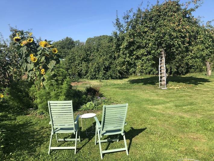 Ferienhaus für 4 Personen, mit Garten und Sauna sowie Terrasse in Mecklenburg-Vorpommern - 4