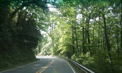 Glamping for 5 Guests in Blue Ridge Mountains, North Carolina, Picture 2