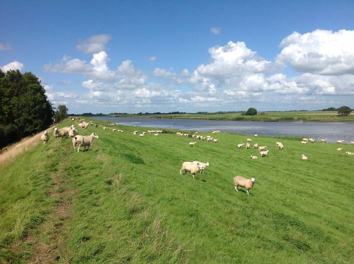 Ferienwohnung für 4 Personen, mit Balkon und Ausblick in Oldenswort - 4