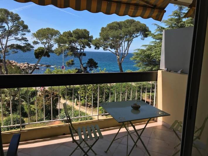 Gîte pour 3 personnes, avec terrasse et vue, animaux acceptés dans Plage Du Capelan Bandol - 4