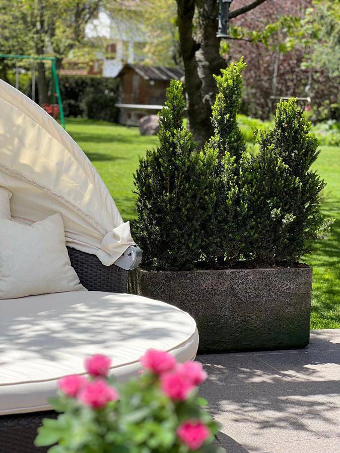 Bed & breakfast voor 3 personen, with tuin and terras as well as sauna and uitzicht, met huisdier - 1