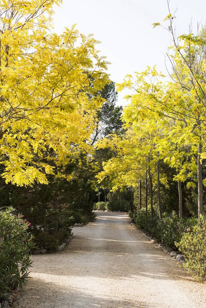 Chalet para 12 personas, con balcón además de vistas al mar y jardín en Ibiza - 4