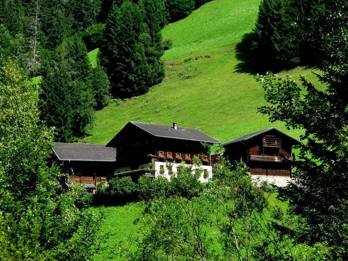 Kleinitz, Biobauernhof Plonerhof in Hohe Tauern, Hopfgarten in Defereggen