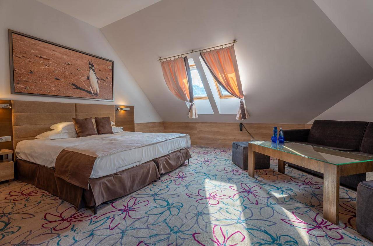 Hotel & Spa Czarny Groń in Rzyki, Małopolska