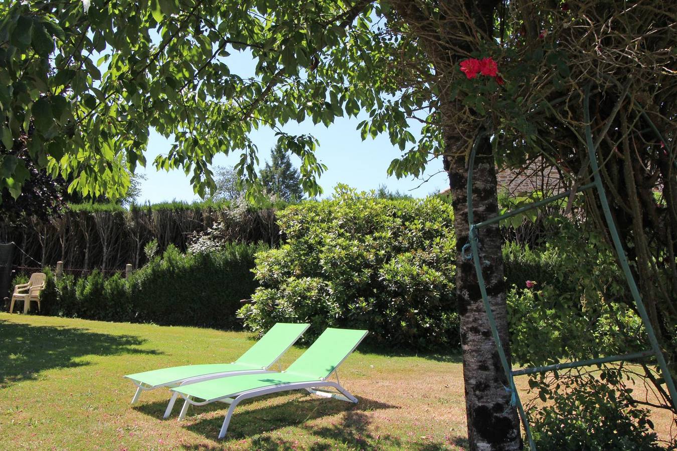 Chabant - Violette in Saint-Léonard-de-Noblat, Región de Limoges