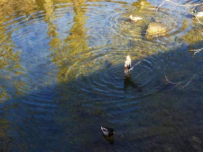 Casa rural para 8 personas, con jardín además de piscina y vistas, Se admiten mascotas en Vall de Vianya - 4