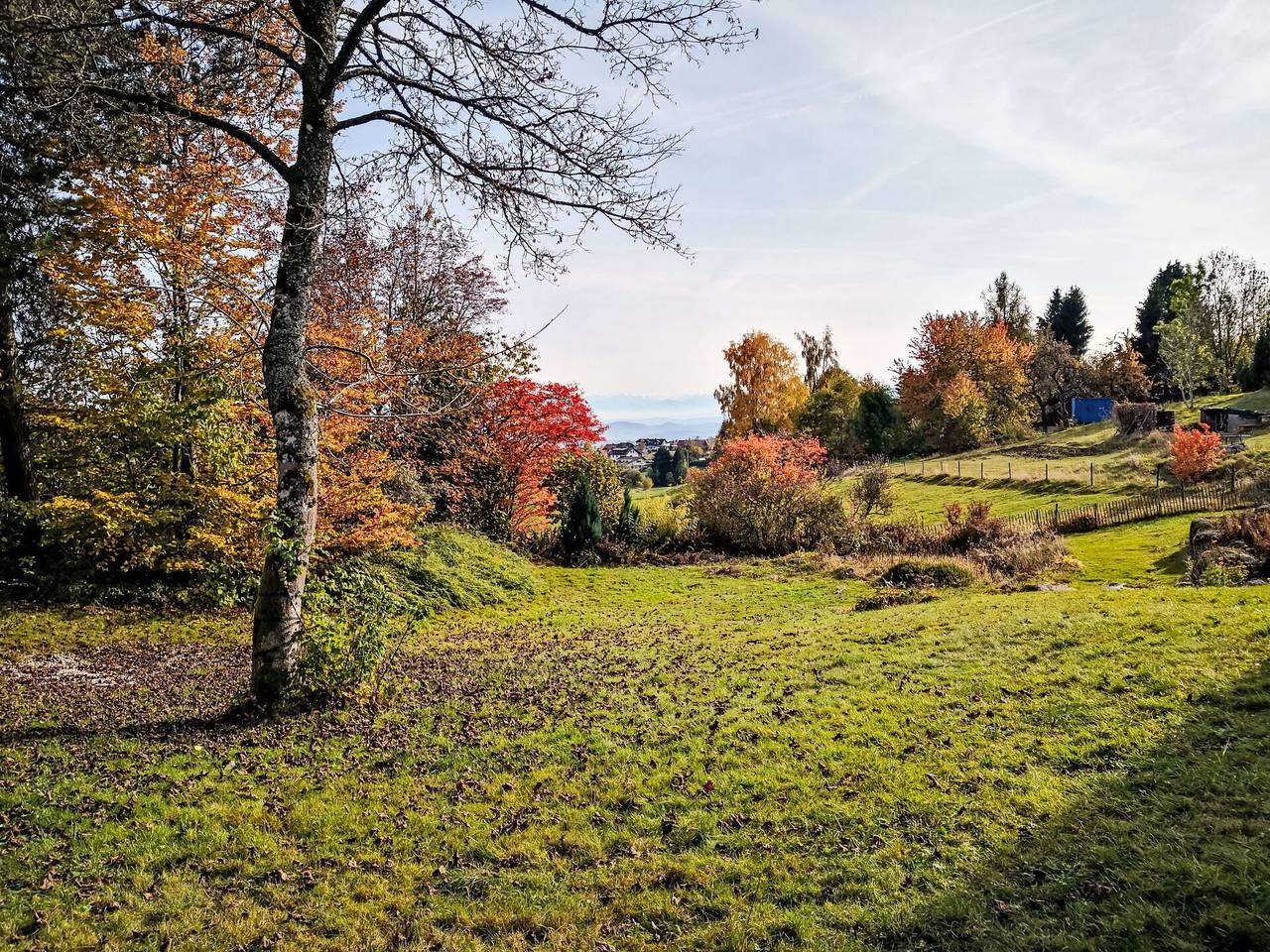 Schwarzwaldhof mit Pool & Sauna - Schwarzwaldhof mit Pool & Sauna 110.1 in Görwihl, Südschwarzwald
