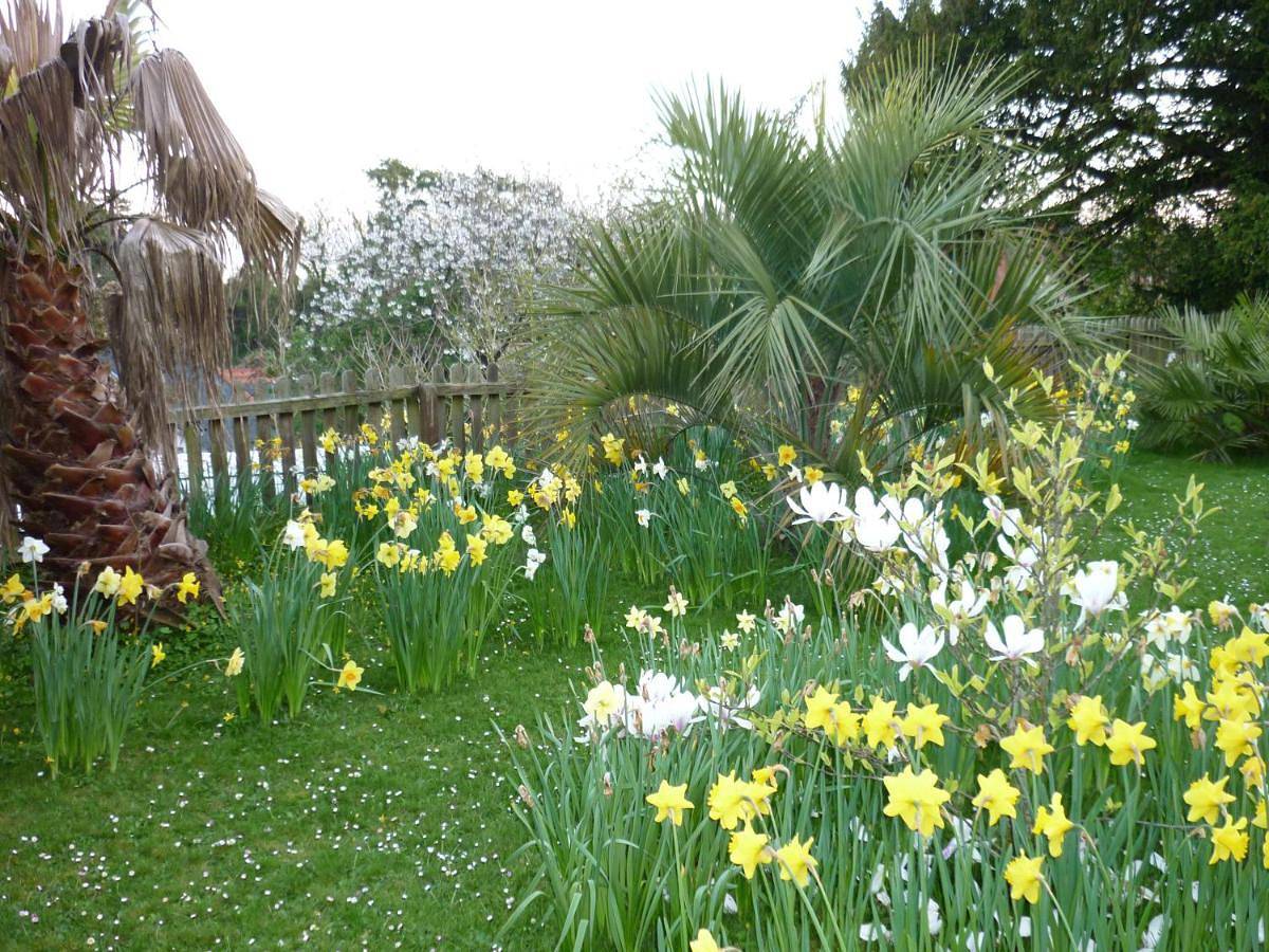 St Maur in Ventnor, Isle of Wight