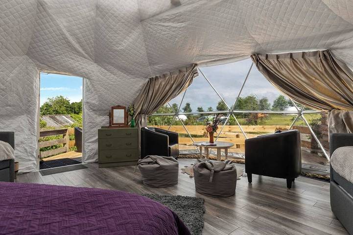 Camping for 4 people, with garden, with pets in Pembrokeshire