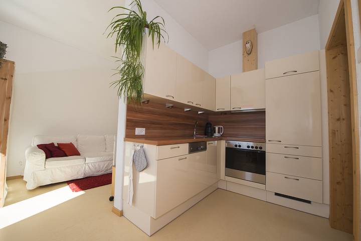 Ganze Ferienwohnung, Ferienwohnung Chasa Berry - Ferienwohnung 40 m2  für max. 5 Personen in Ftan, Unterengadin