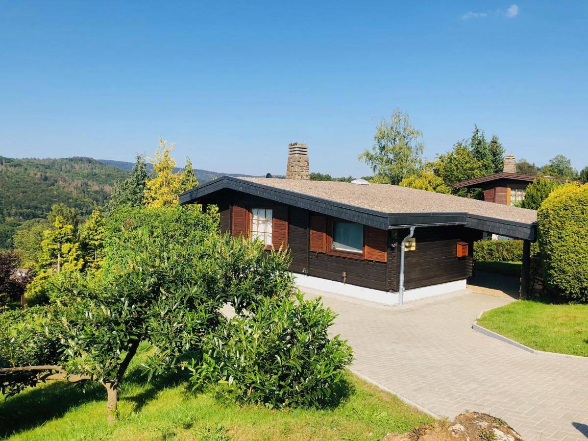 Dachsbau in Bad Lauterberg, Harzvorland