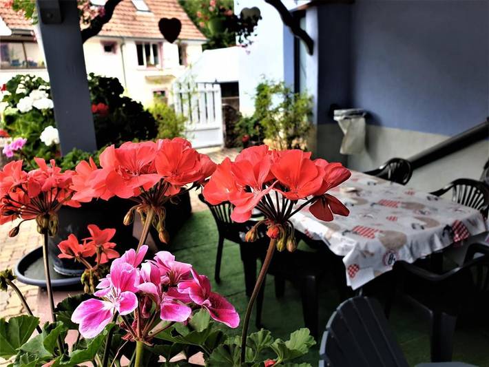 Location de vacances pour 8 personnes, avec terrasse et vue, animaux acceptés à Bœrsch - 4