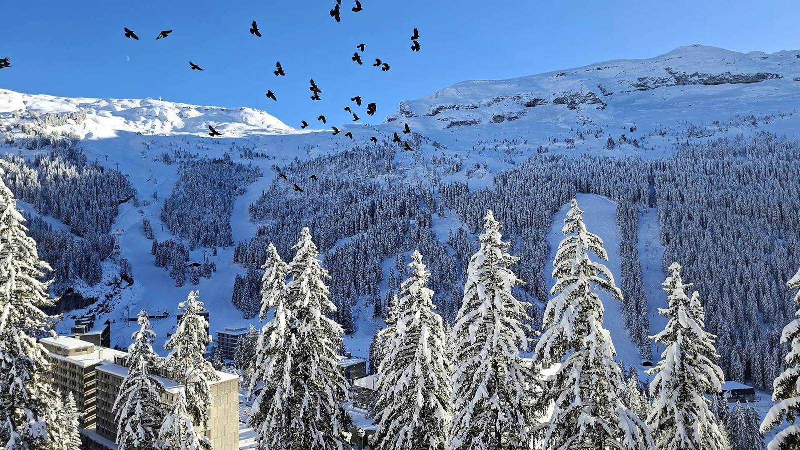 Studio entier, Studio confortable avec cabine · Proche des pistes et des commerces · Balcon in Flaine, Arâches-la-Frasse