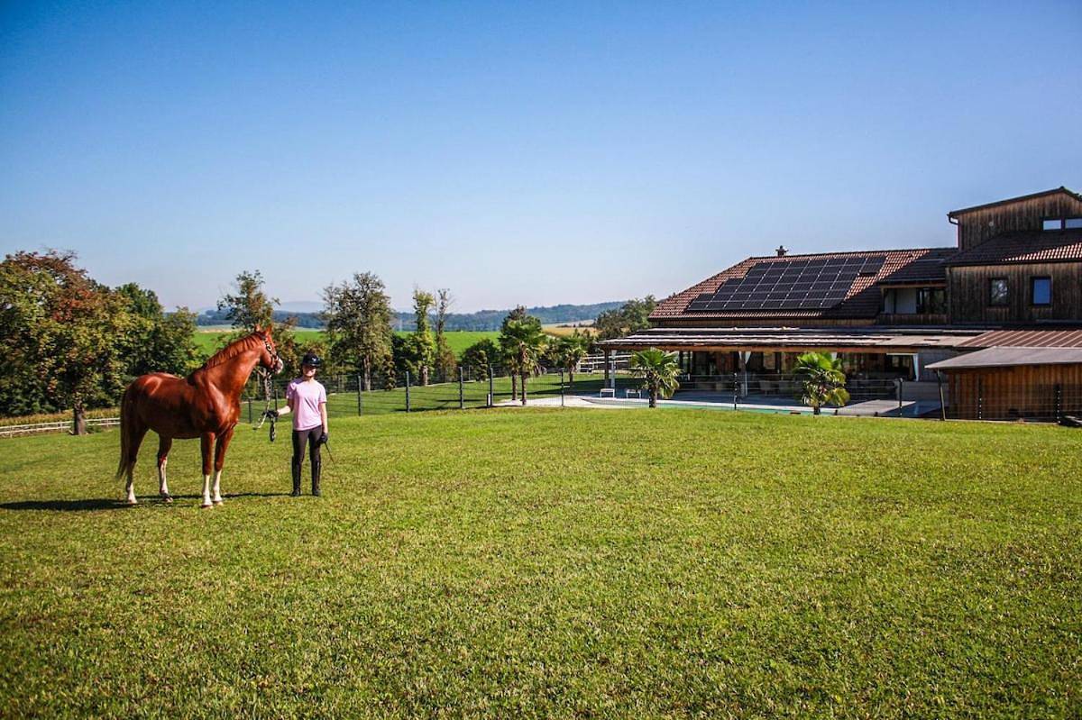 Quietly located vacation villa for horse lovers in Bergland, Mostviertel Region