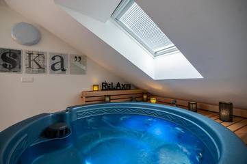 Gîte pour 4 personnes, avec sauna et piscine ainsi que jacuzzi et terrasse, animaux acceptés à Plzeň