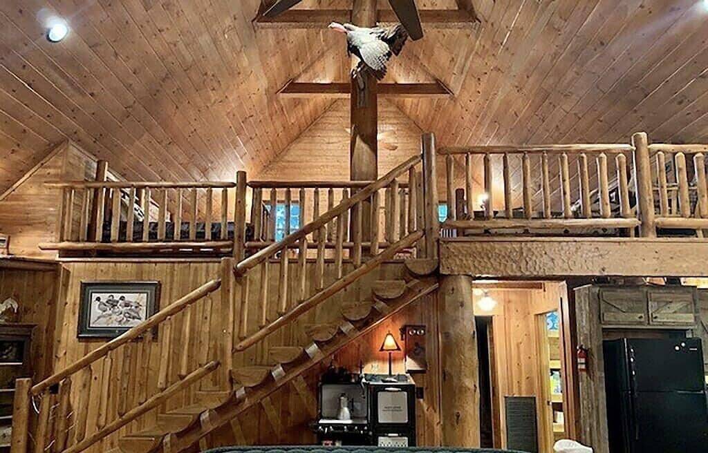 Peaceful, Secluded Cabin near Beaver Lake in Beaver Lake