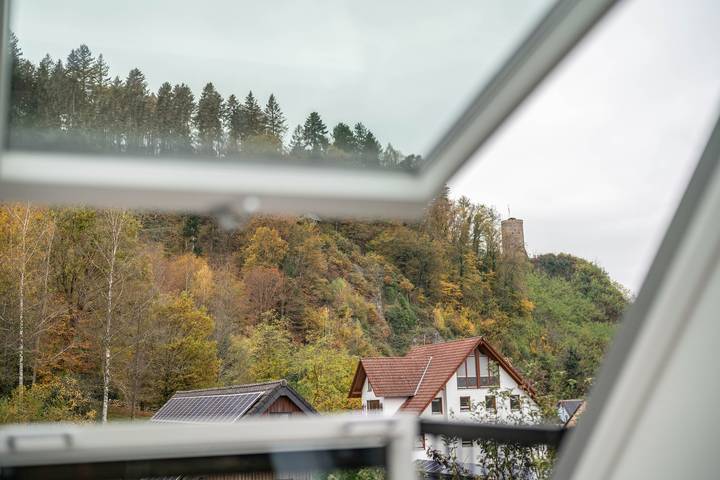 Ganze Wohnung, Ferienwohnung Burgblick" mit Bergblick, Gemeinschaftsgarten und Wlan in Hausach, Kinzigtal