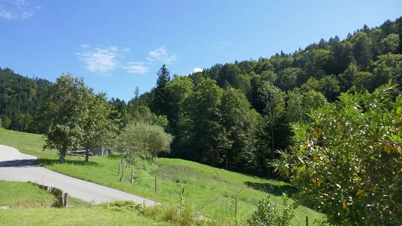 Apartamento para 6 Personas en Región Alpina de Tegernsee y Schliersee