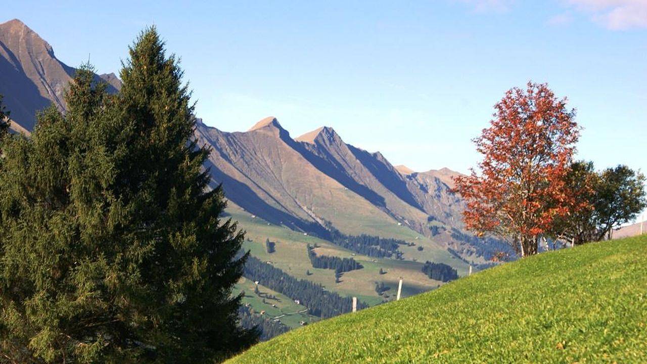 Ferienhaus für 8 Personen (64 m²) in Adelboden in Adelboden, Frutigen - Lenk - Adelboden