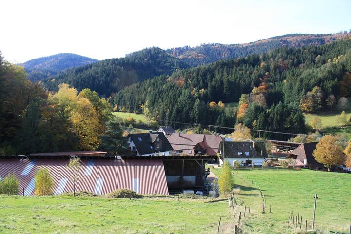 Ganze Wohnung, Ferienwohnung Sonnenblume" mit Bergblick, privater Terrasse und Wi-Fi in Elzach, Mittlerer Schwarzwald