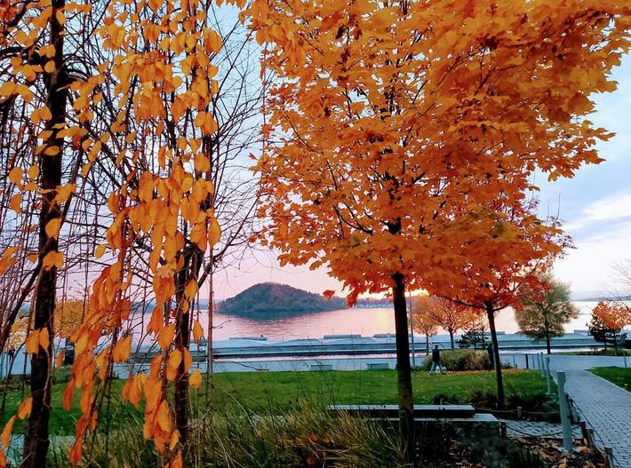Chambre d’hôte pour 2 personnes, avec terrasse et jardin à Oslo métropole - 2