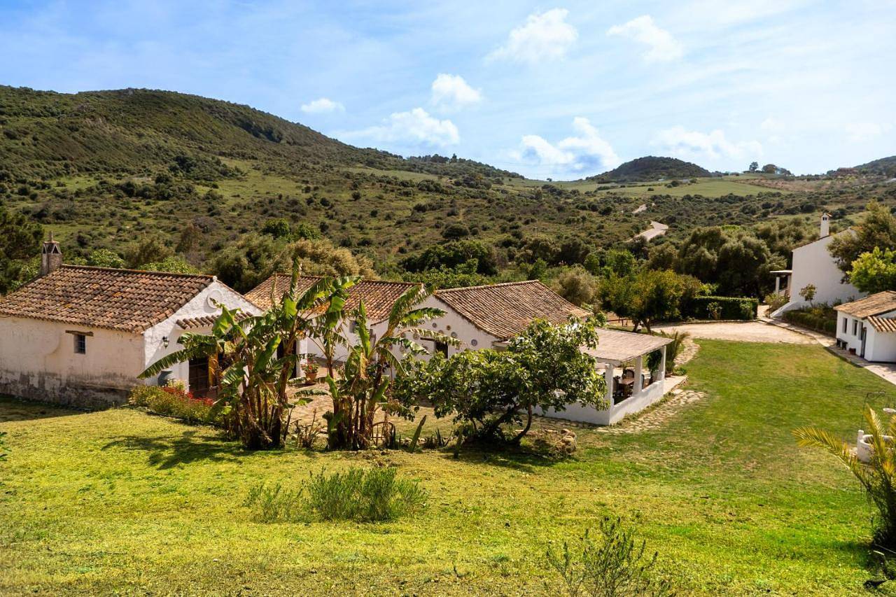 Apartment - Ground Floor in Sierra (Casares), Casares