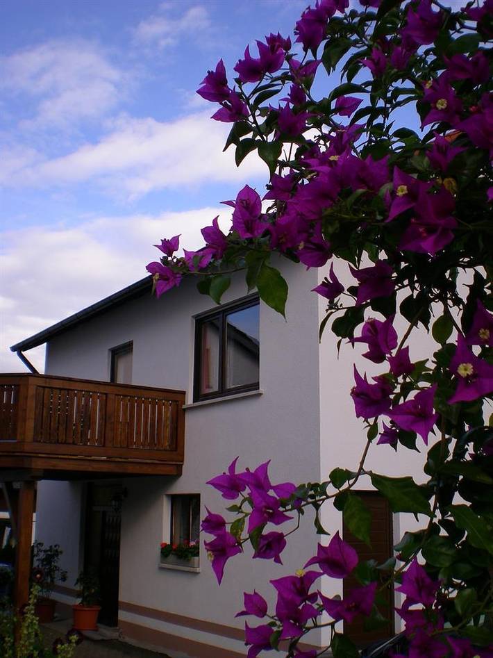 Ferienhaus für 2 Personen, mit Balkon und Terrasse sowie Garten in Rhön-Hessen - 3