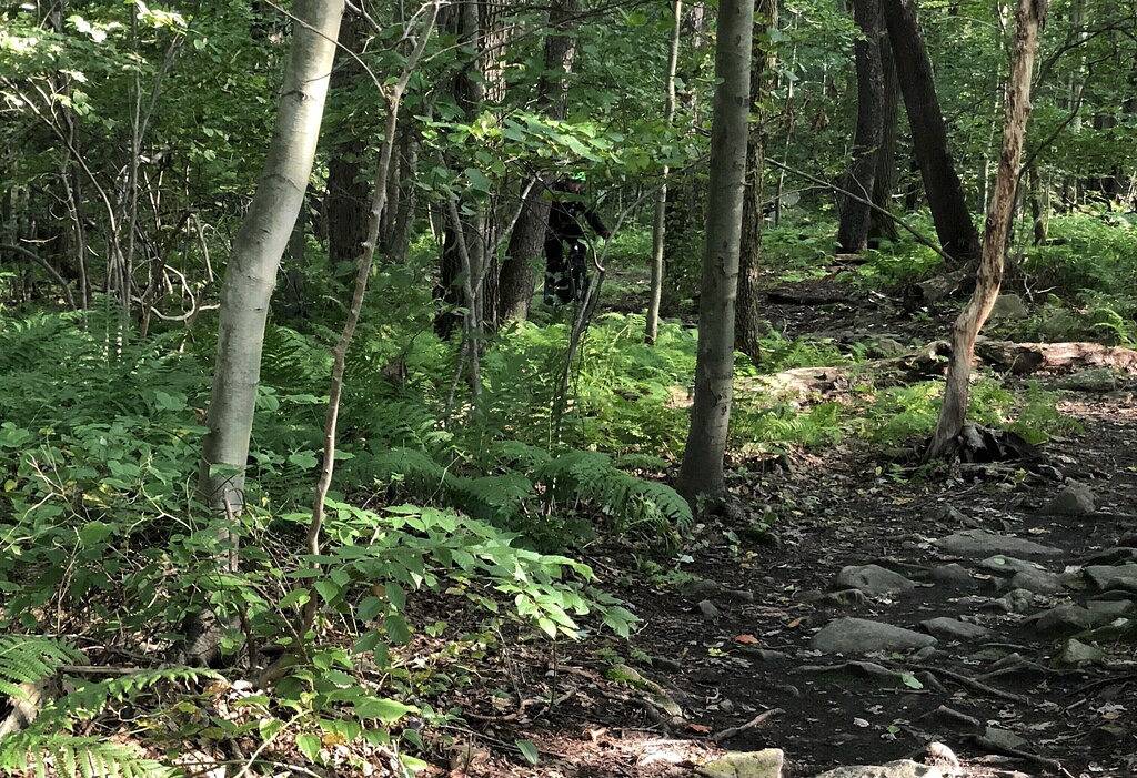 Ganze Wohnung, Sunridge / 7Springs: Ski In / Ski Out, Ski von Deck in Seven Springs, Pennsylvania