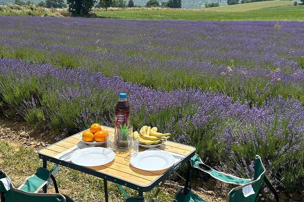🚐 Van aménagé Trafic 3 Vasp – Prêt à partir à l’aventure ! 🌄 in Saint-Symphorien-sous-Chomérac, Privas (arrondissement)