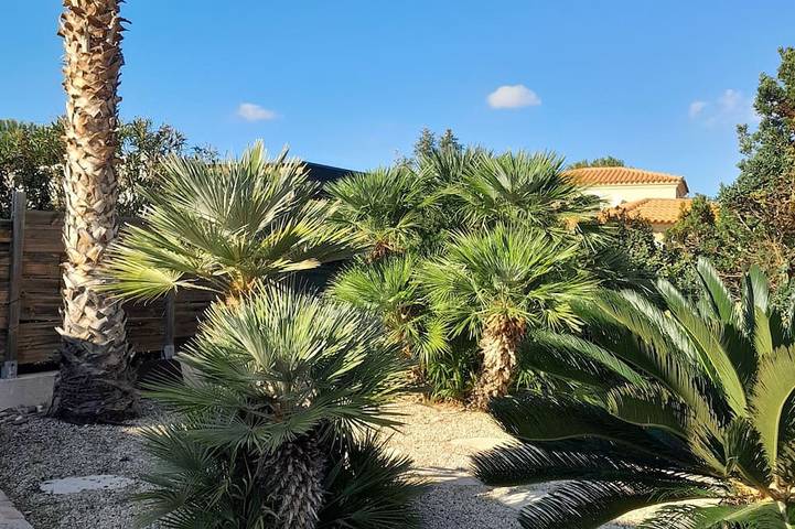 Cosy and comfortable villa in a quiet garden 15\" from the beach in Sant Ambroggio, Lumio