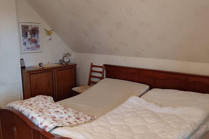 Ferienhaus für 5 Personen, mit Haustier in Biosphärenreservat Schorfheide Chorin - 4